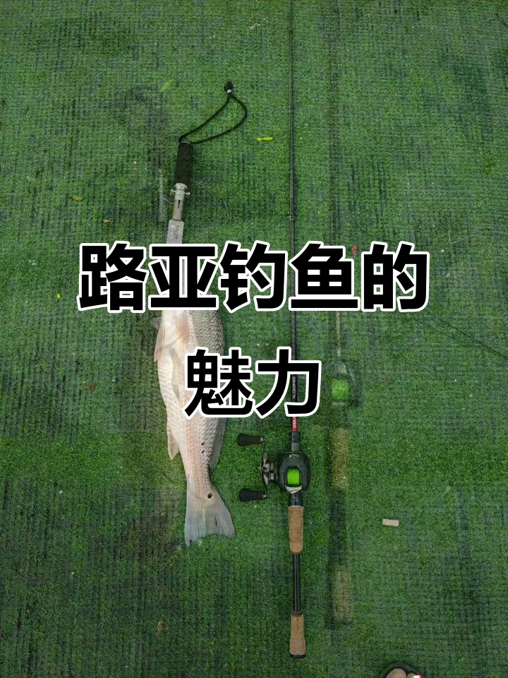 路亚的秘密(路亚冷知识)