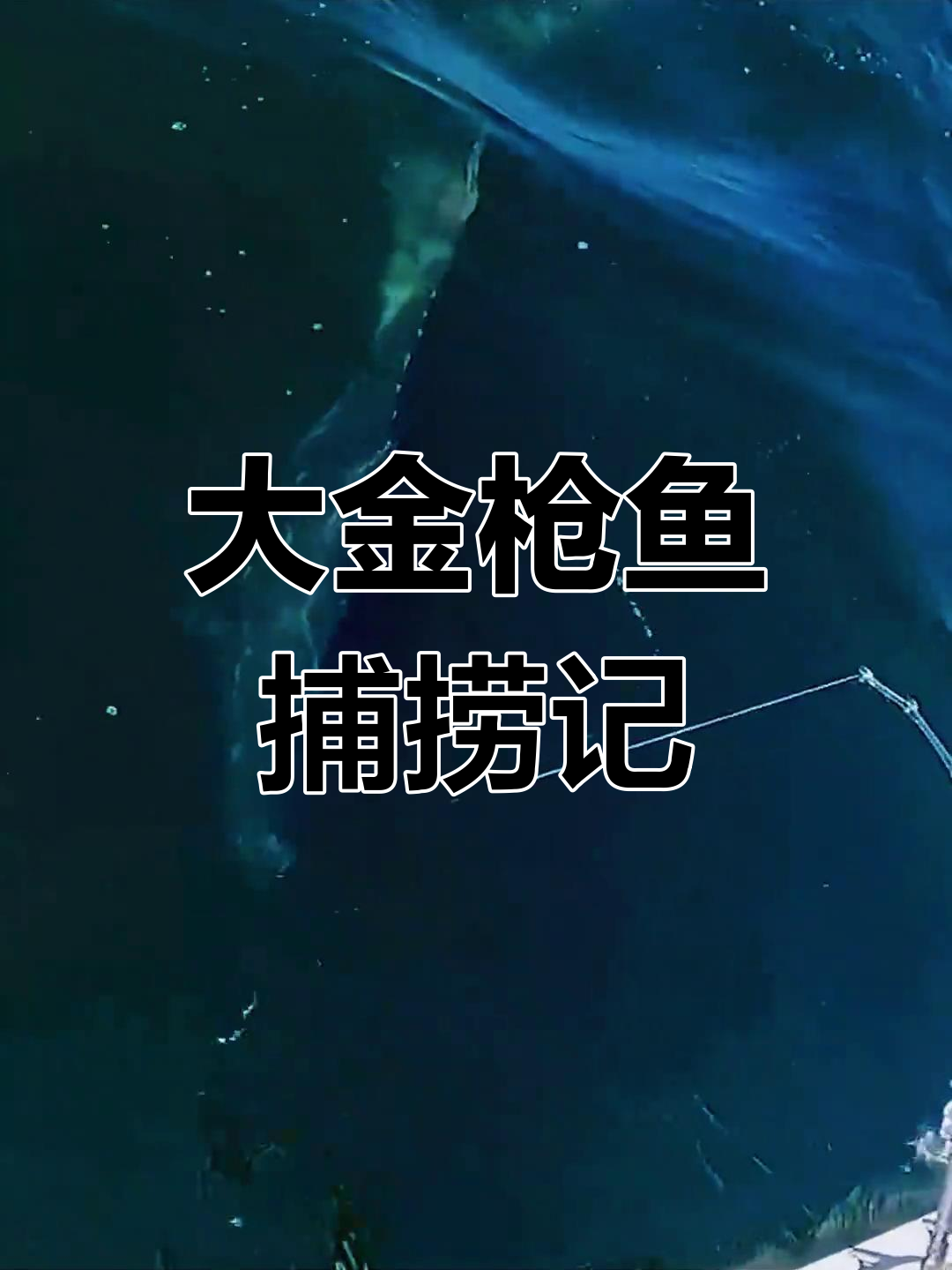海钓最大金枪鱼(钓到最大的金枪鱼)