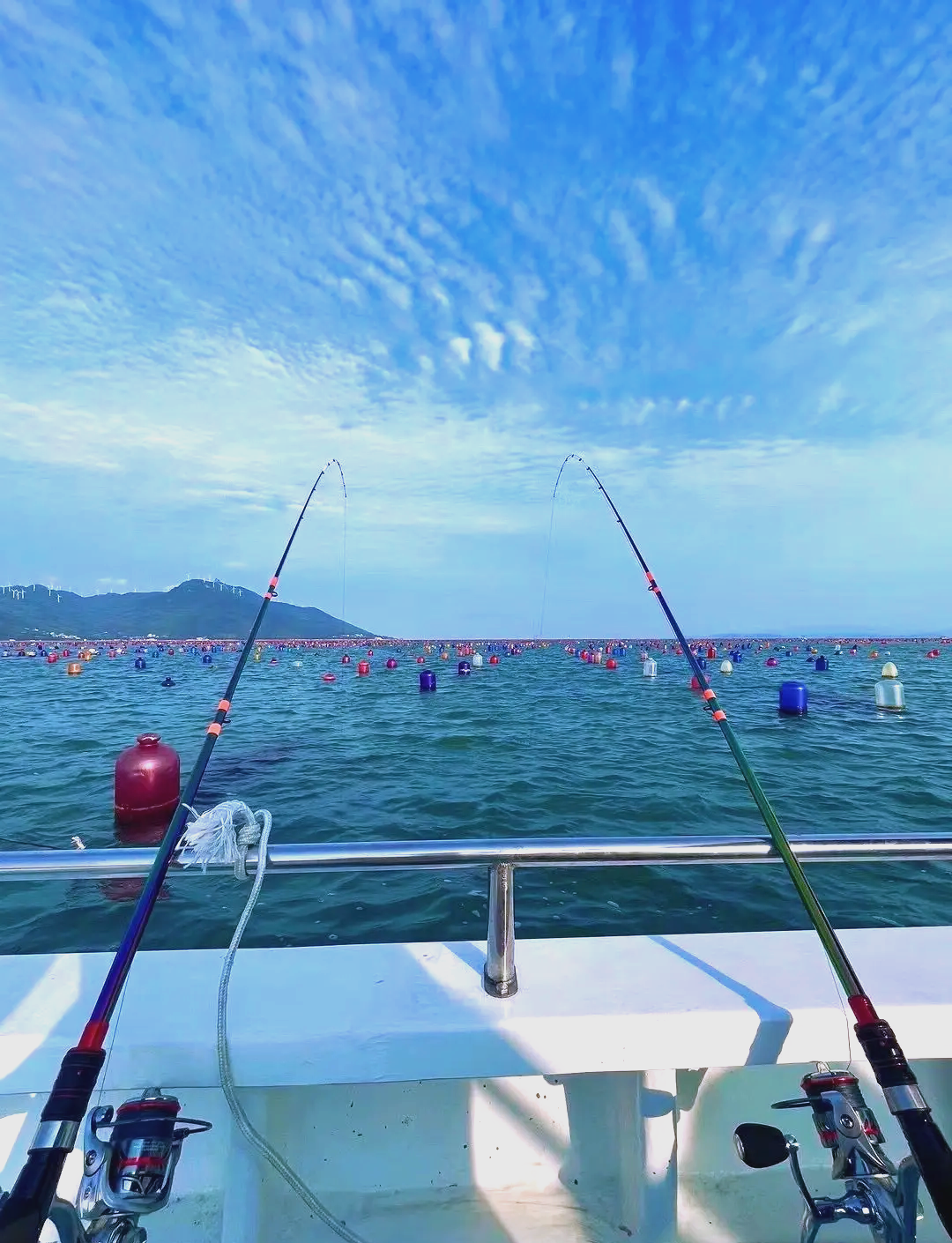 渔港海钓视频(渔港钓鱼)