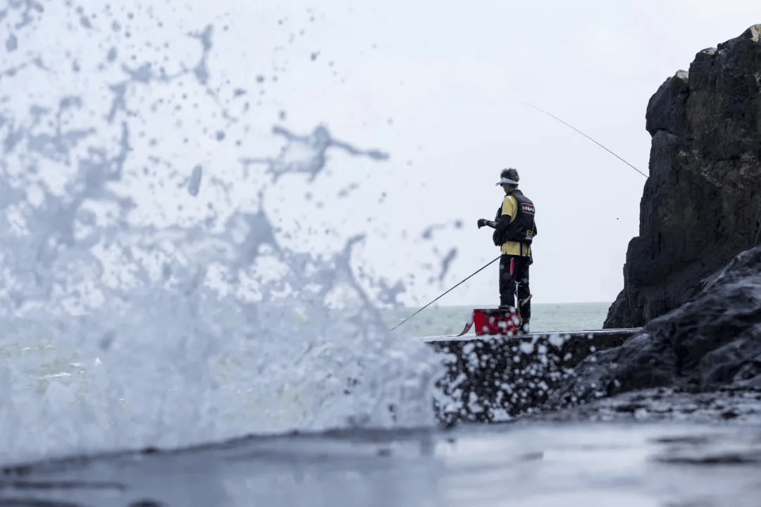 渔港海钓视频(渔港钓鱼)