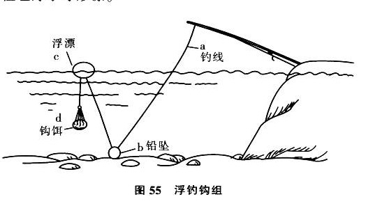 海钓装备图组装(100张高清海钓图片)