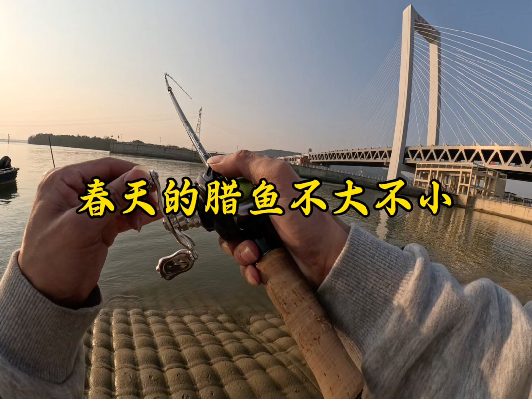 路亚钓腊鱼(路亚钓鱼为什么被禁止) 路亚钓腊鱼(路亚钓鱼为什么被禁止)