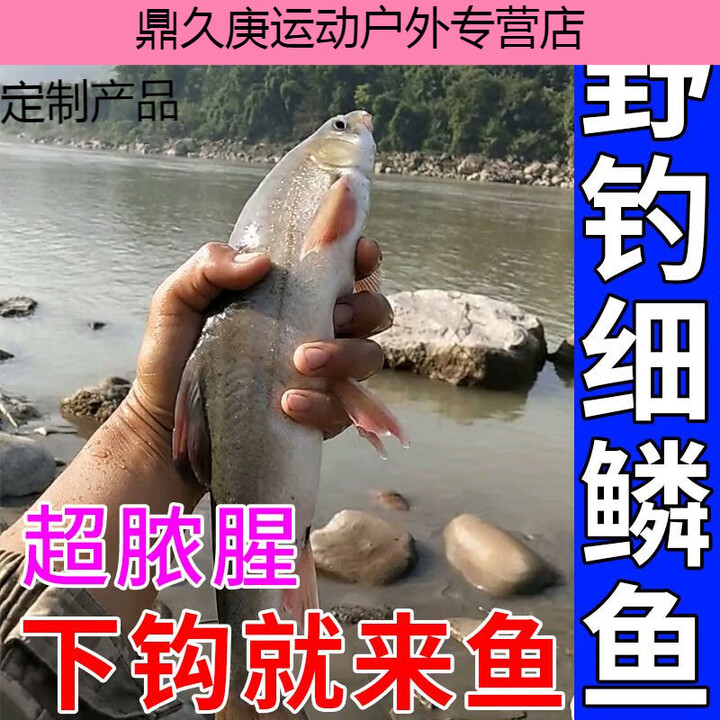 钓贵鱼饵料(钓贵鱼最普通钓料)