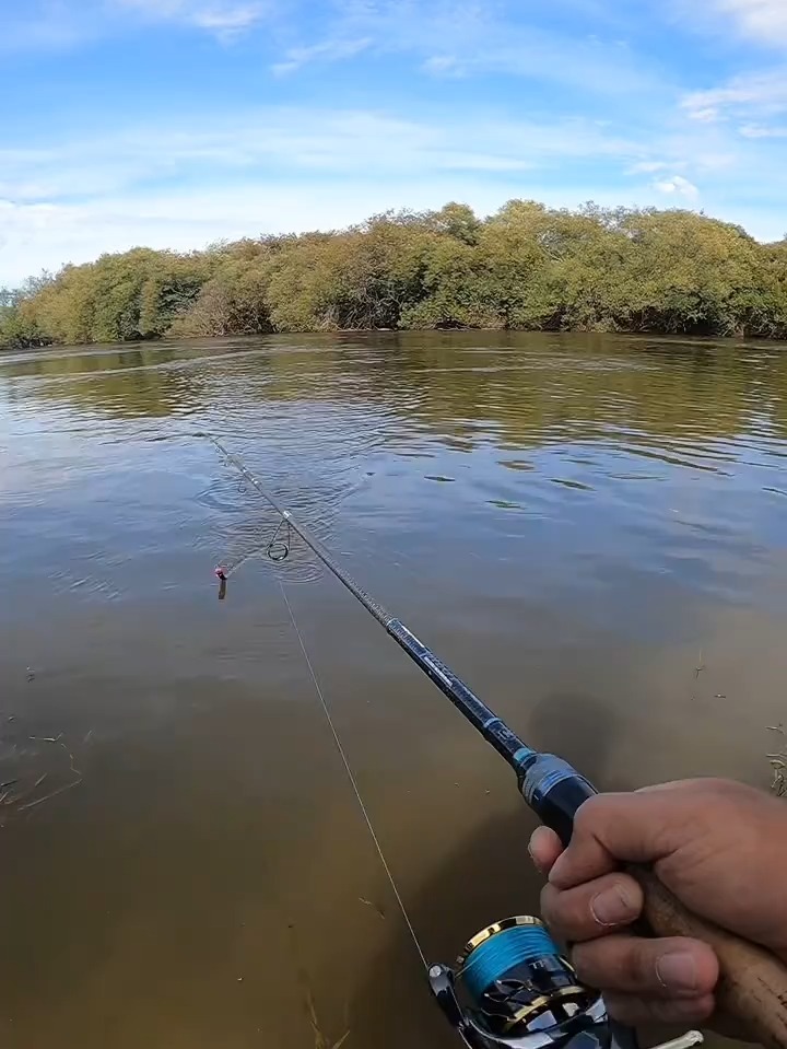 长沙路亚钓友(长沙路亚钓点)