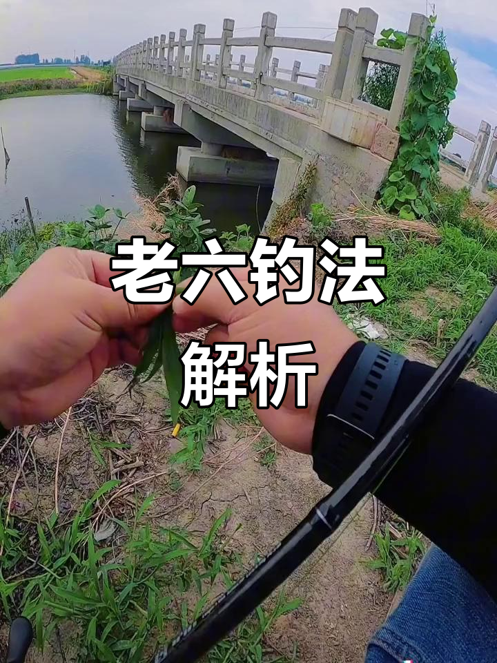 浮钓草鱼的技巧(浮钓草鱼的技巧视频)