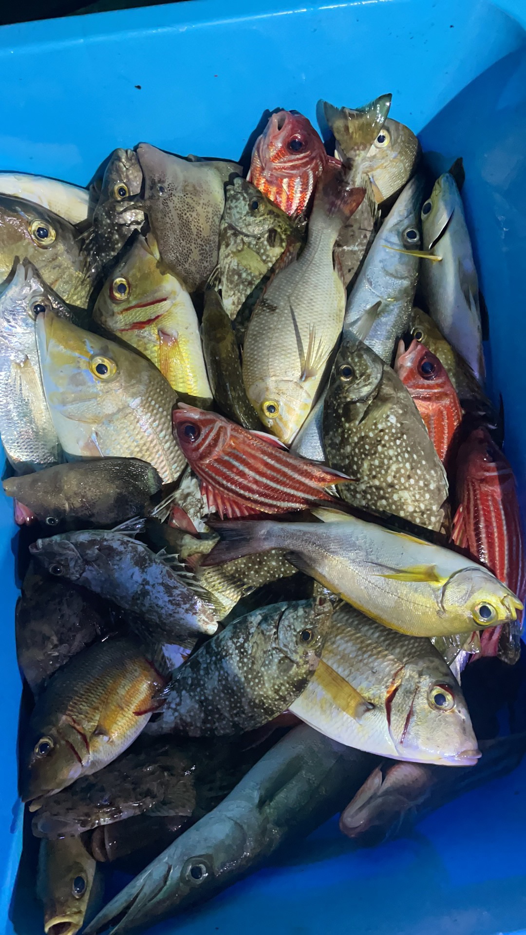 营口租船海钓(营口海钓船老大电话) 营口租船海钓(营口海钓船老大电话)