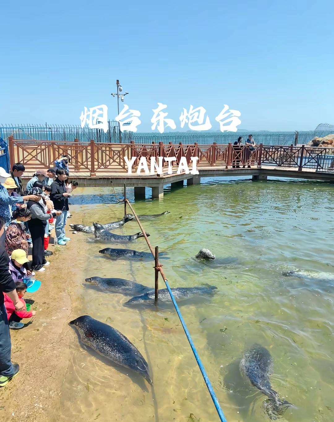 莱州火石头海钓(能生火的石头)