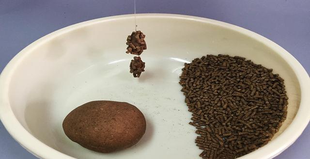 饵料悬空挡口(鱼饵悬空还是沉底好)