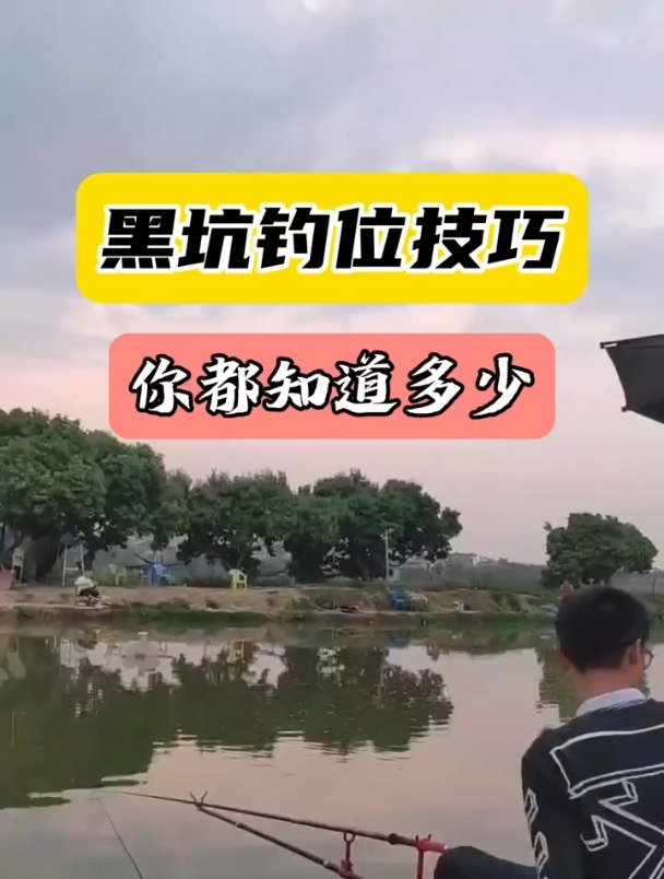 黑坑技巧视频(黑坑坑人技巧)