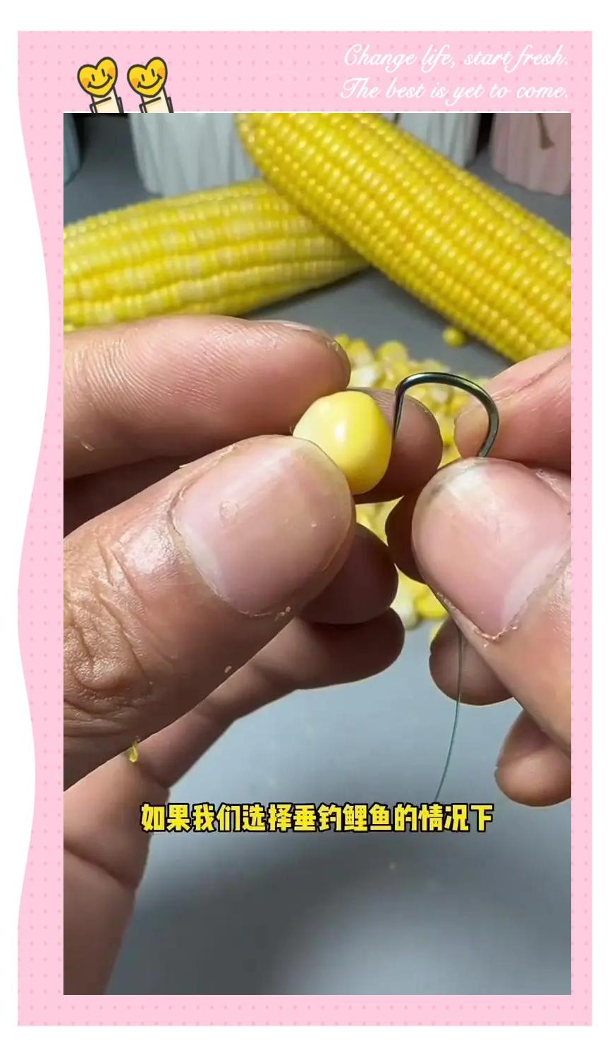 传统玉米钓鱼技巧(钓玉米怎么钓)