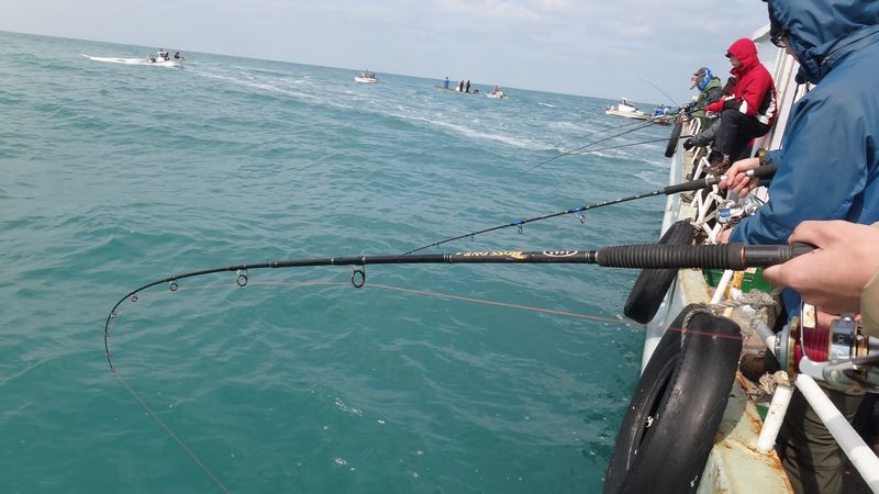 初夏谈海钓(夏季钓海鱼用什么饵料最好) 初夏谈海钓(夏季钓海鱼用什么饵料最好)