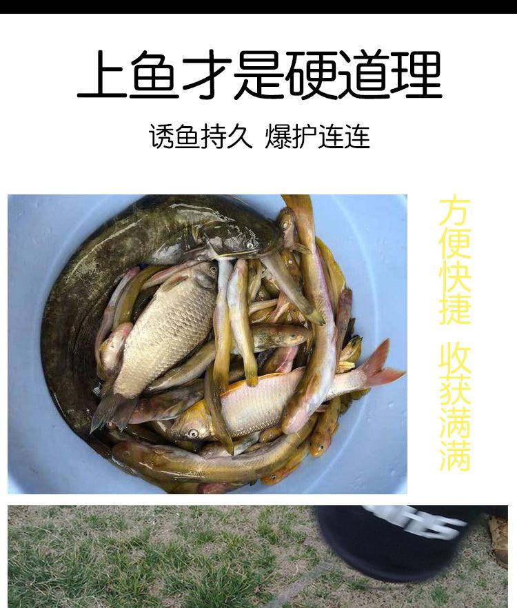 天问饵料搭配(天问饵料怎么搭配)