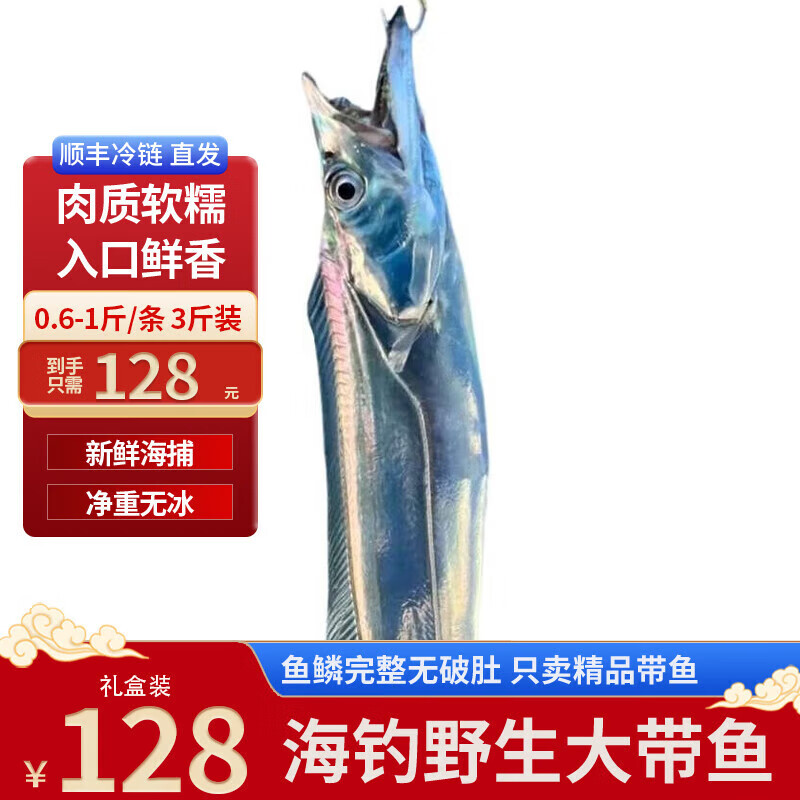 朱家尖海钓有什么鱼(朱家尖哪里可以出海捕鱼)