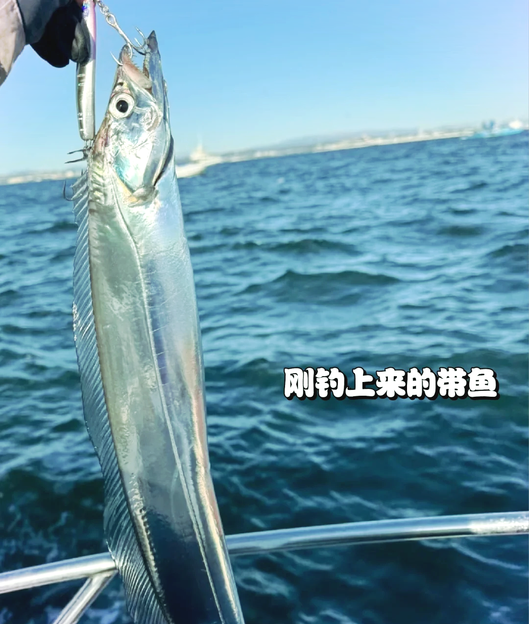 冬天东营能海钓吗(东营冬天钓鱼的地方)