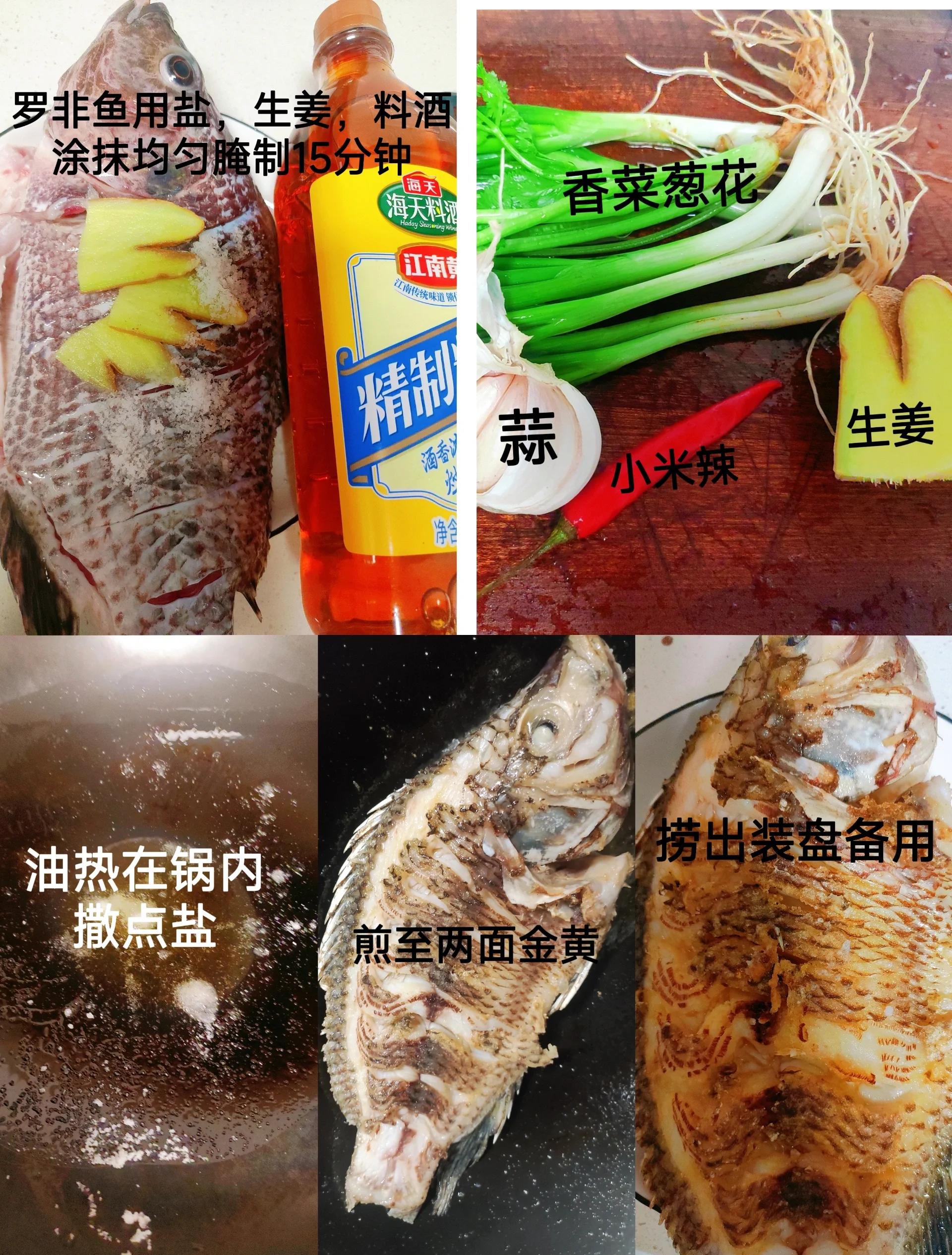 钓罗非鱼饵料配方(钓罗非鱼绝密饵料配方)