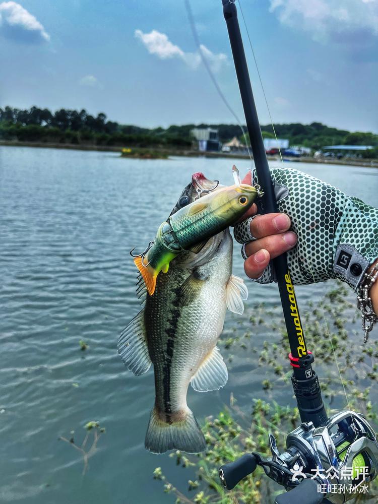 红水河路亚接待(广西红水河简介)