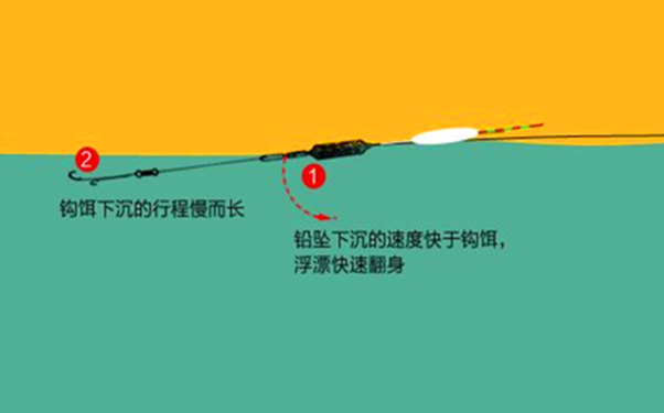 台钓翘嘴的技巧(台钓翘嘴用什么饵最好)