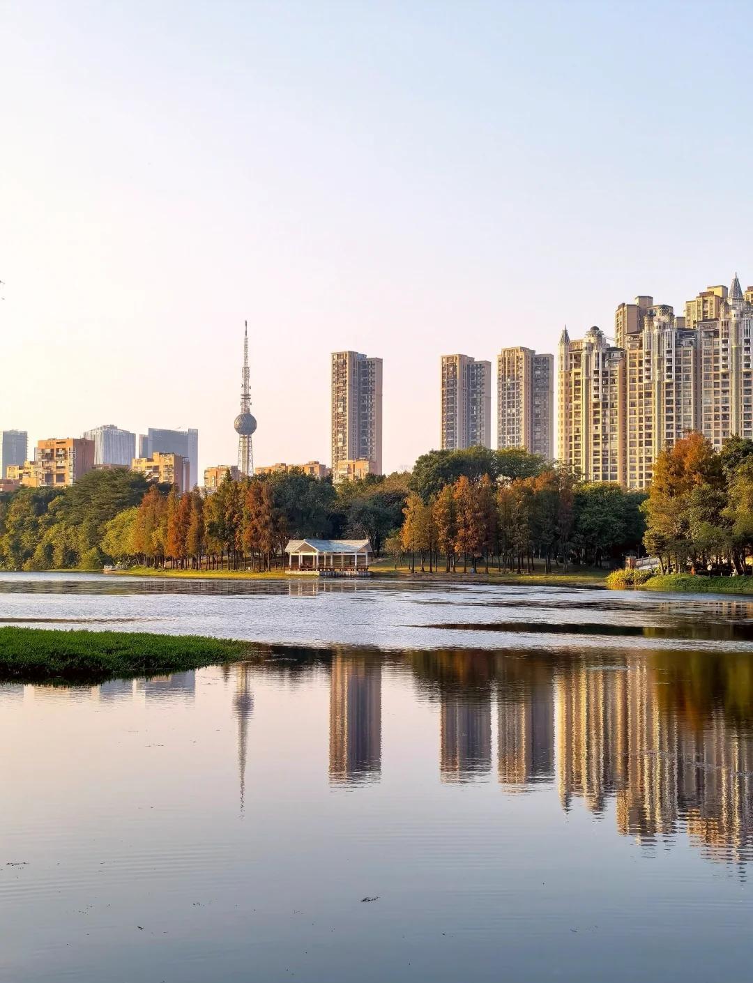 佛山公园路亚(佛山免费路亚钓鱼地点) 佛山公园路亚(佛山免费路亚钓鱼地点)