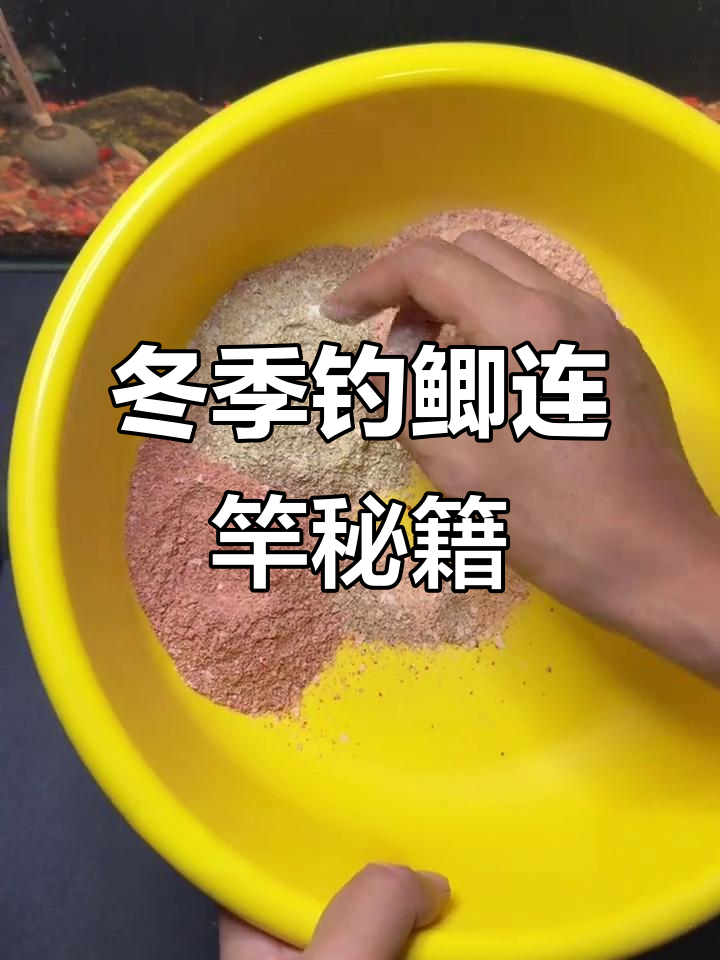 冬天钓鲫鱼饵料(冬天钓鲫鱼饵料用腥还是香味好) 冬天钓鲫鱼饵料(冬天钓鲫鱼饵料用腥还是香味好)