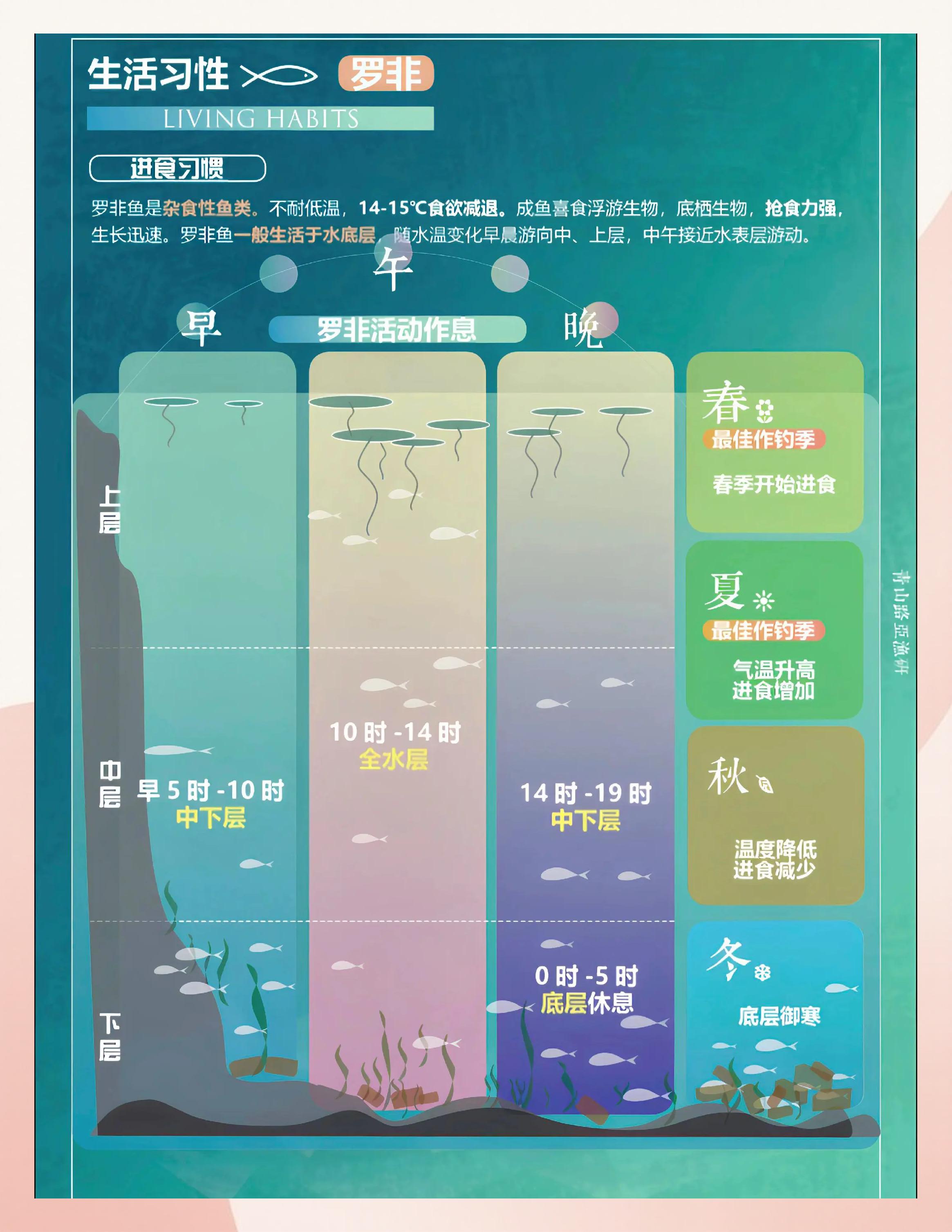 路亚罗非鱼时间(罗非路亚技巧)