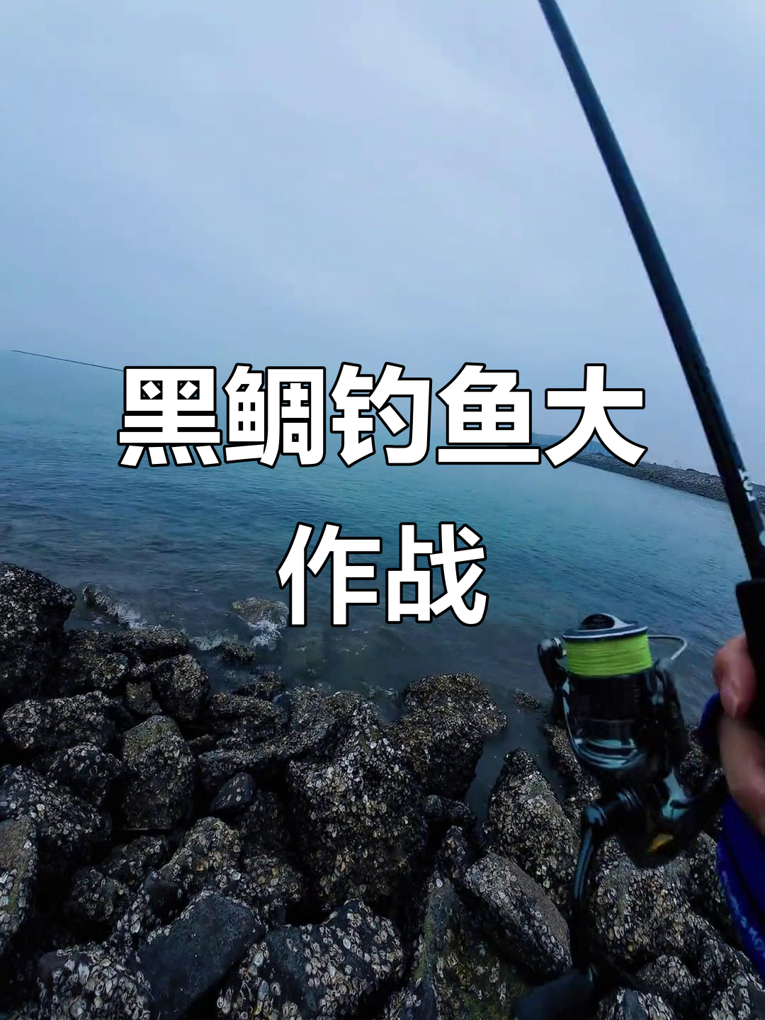 威海钓黑鲷(钓黑鲷钓组)