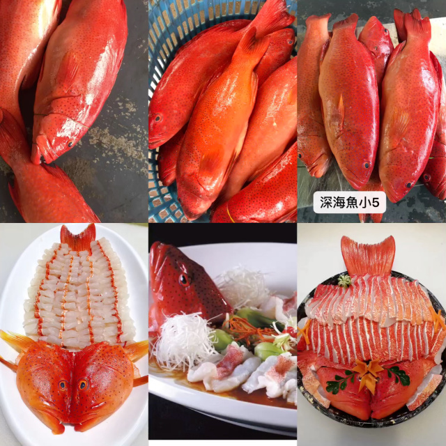 钓点斑臭肚技巧(臭斑蝥怎么驱)