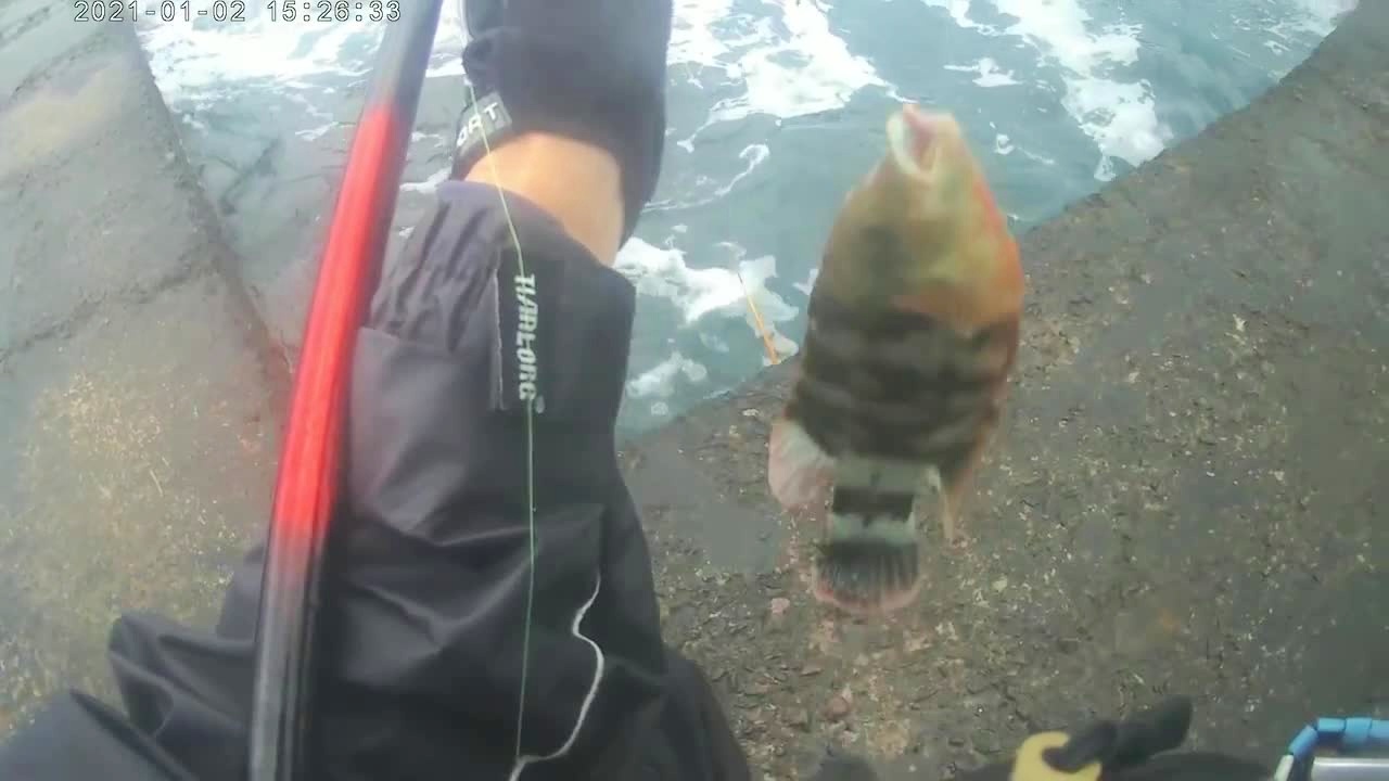 钓点斑臭肚技巧(臭斑蝥怎么驱)