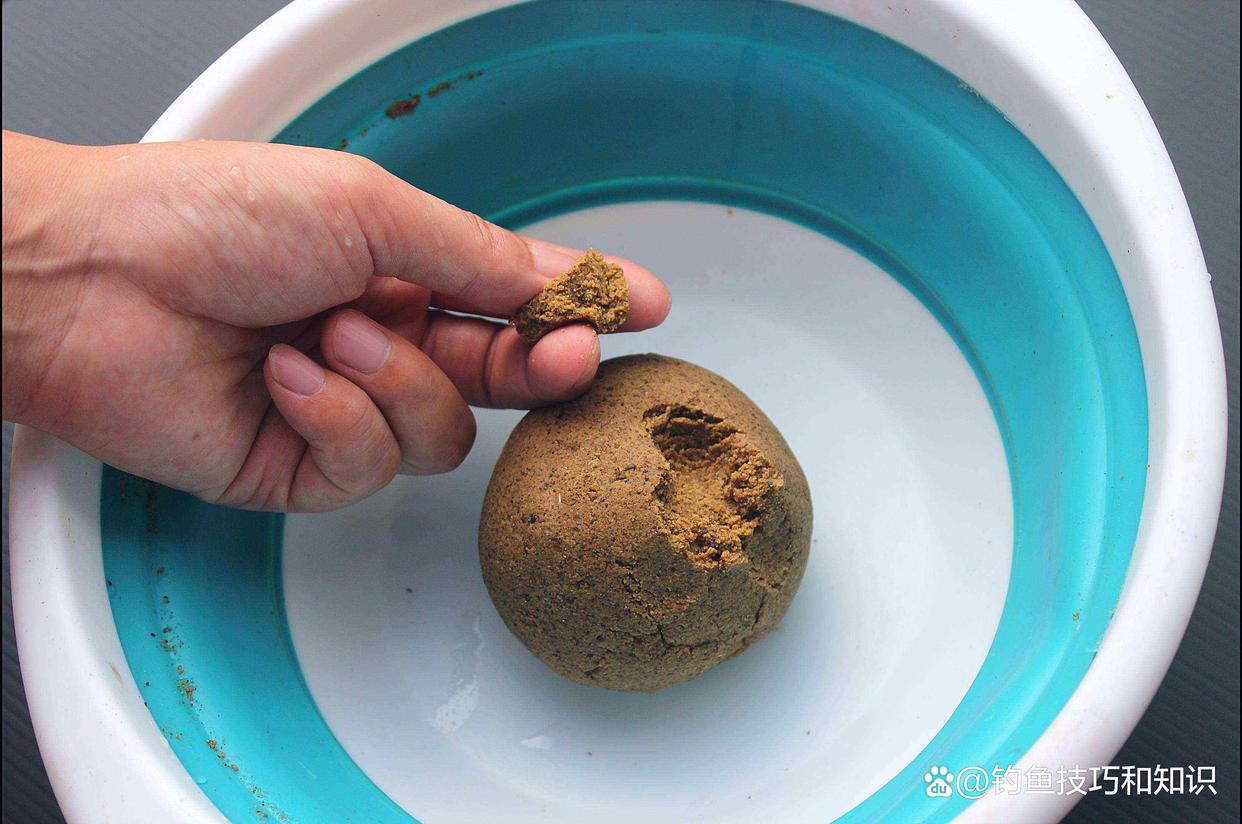 饵料打饵(打饵料什么意思)