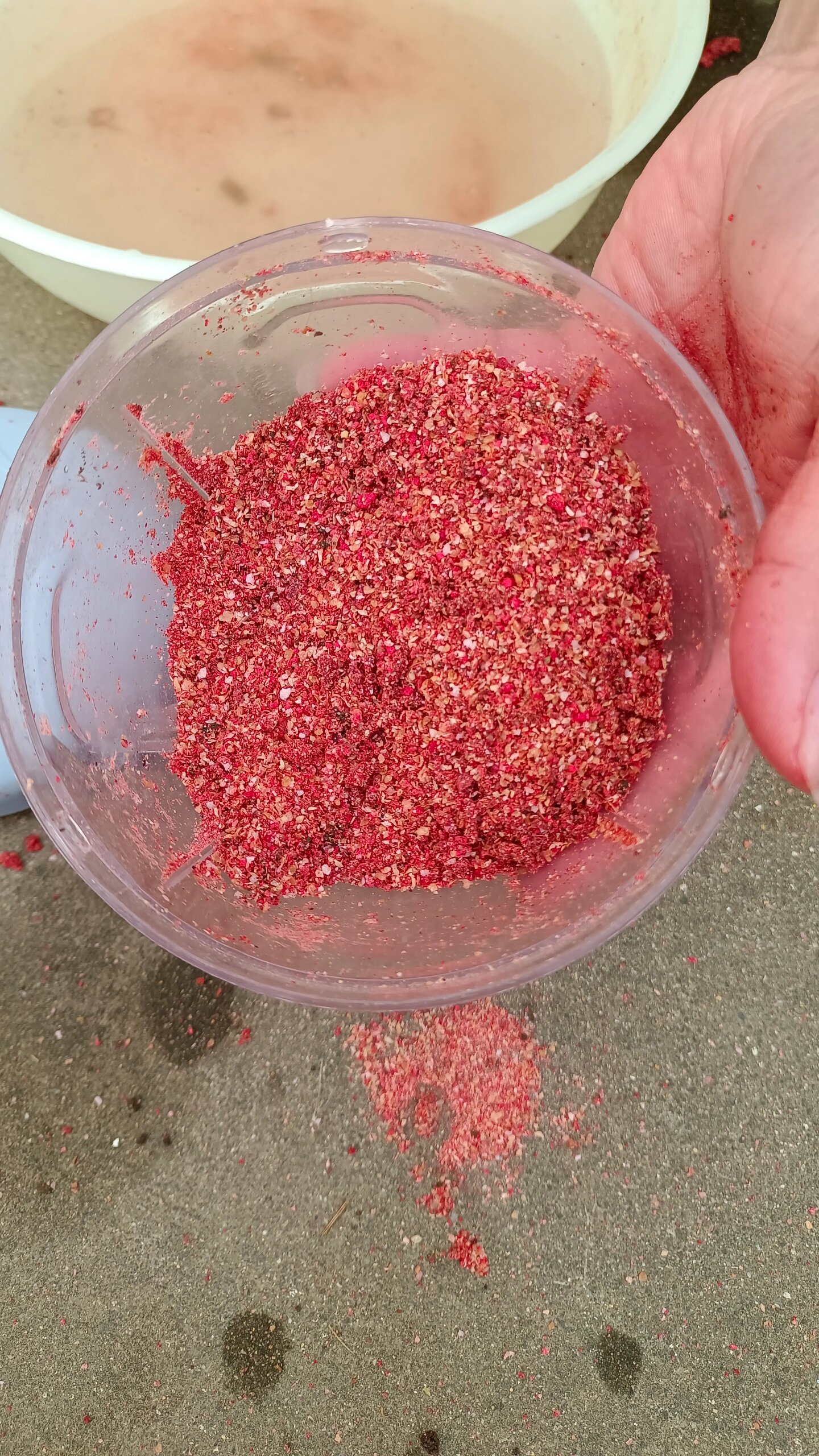 万能饵料蚯蚓(蚯蚓做饵配方大全)