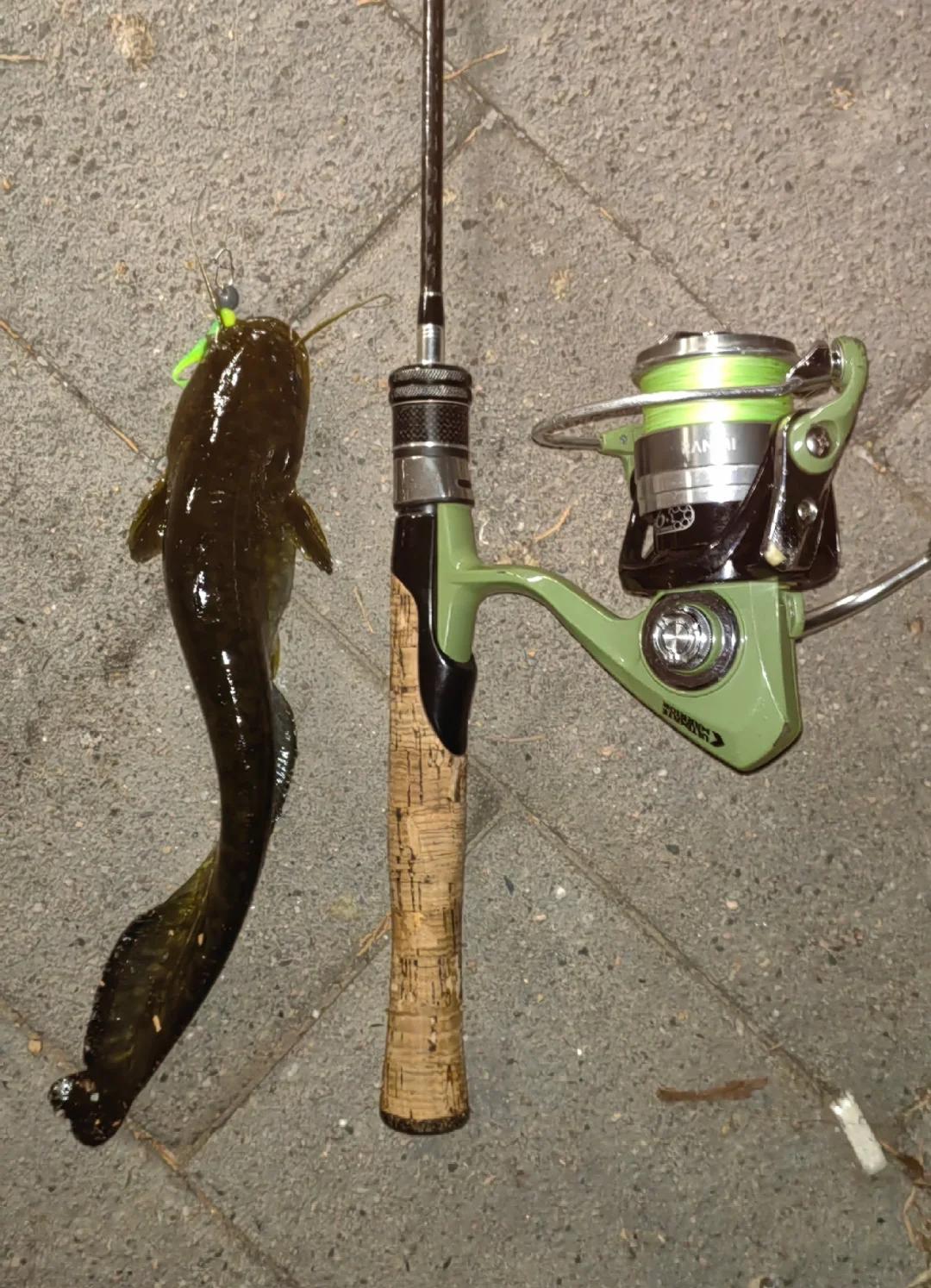 渭河哪能路亚(渭河路亚钓点)