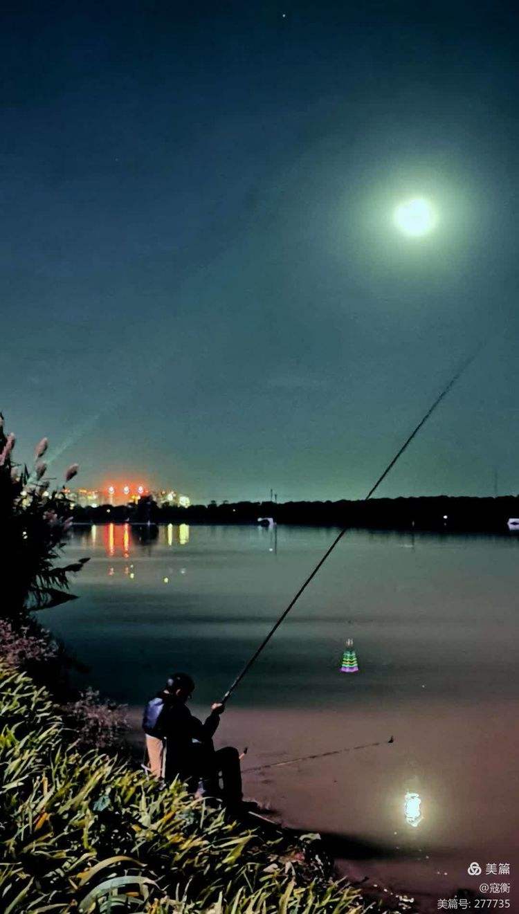 长江海杆夜钓技巧(为什么夜钓禁用蓝光灯)