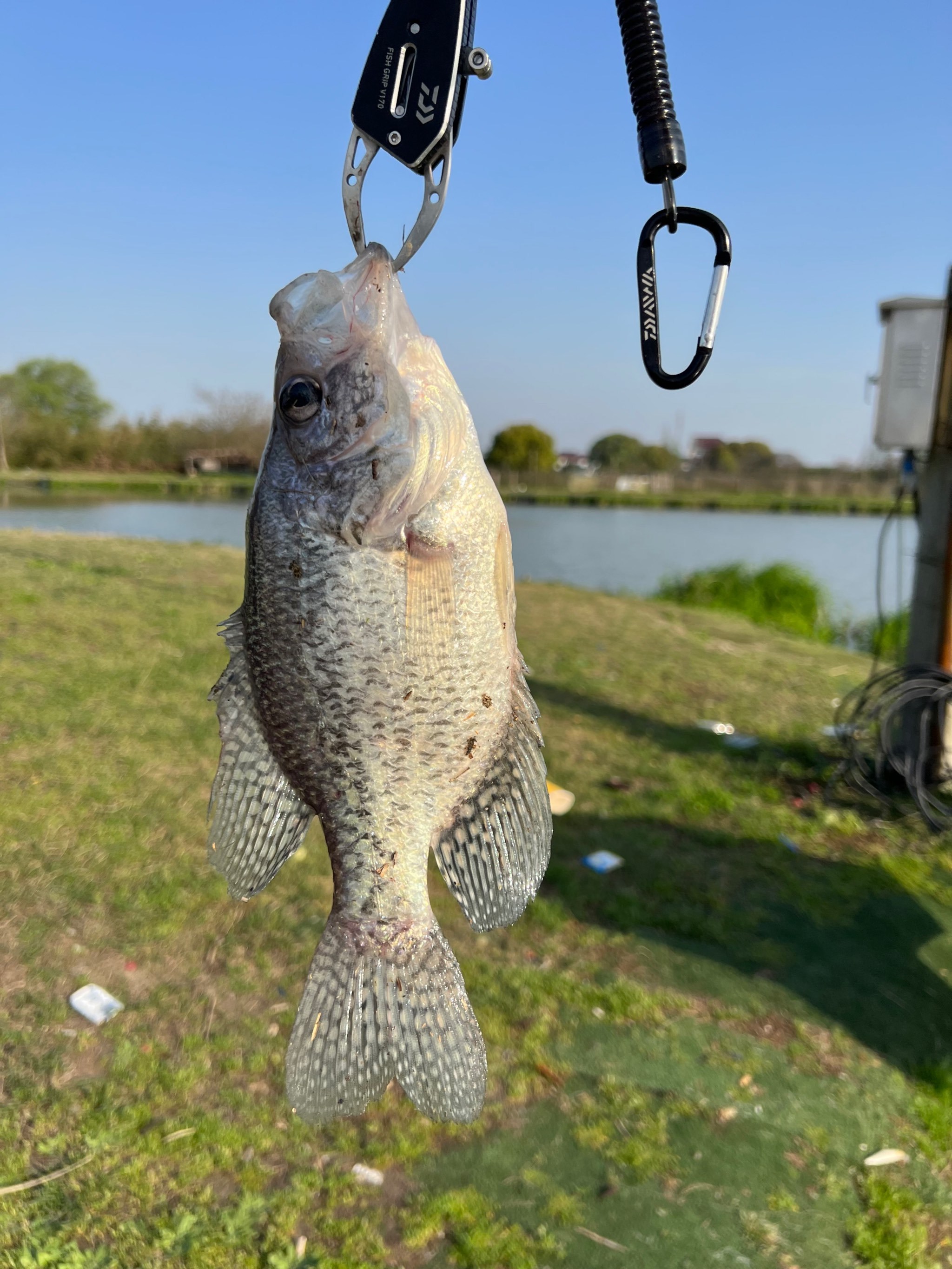 怀河路亚(路亚竿品牌排行榜前十位) 怀河路亚(路亚竿品牌排行榜前十位)