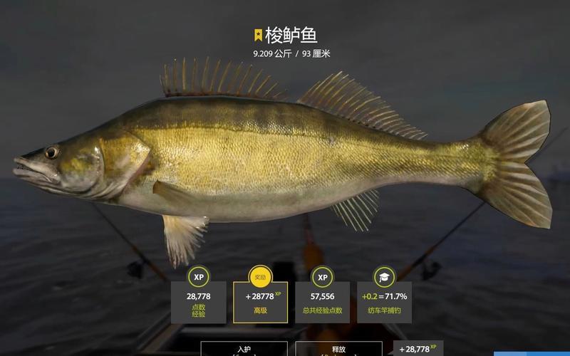 法国路亚(法国路亚鱼种) 法国路亚(法国路亚鱼种)