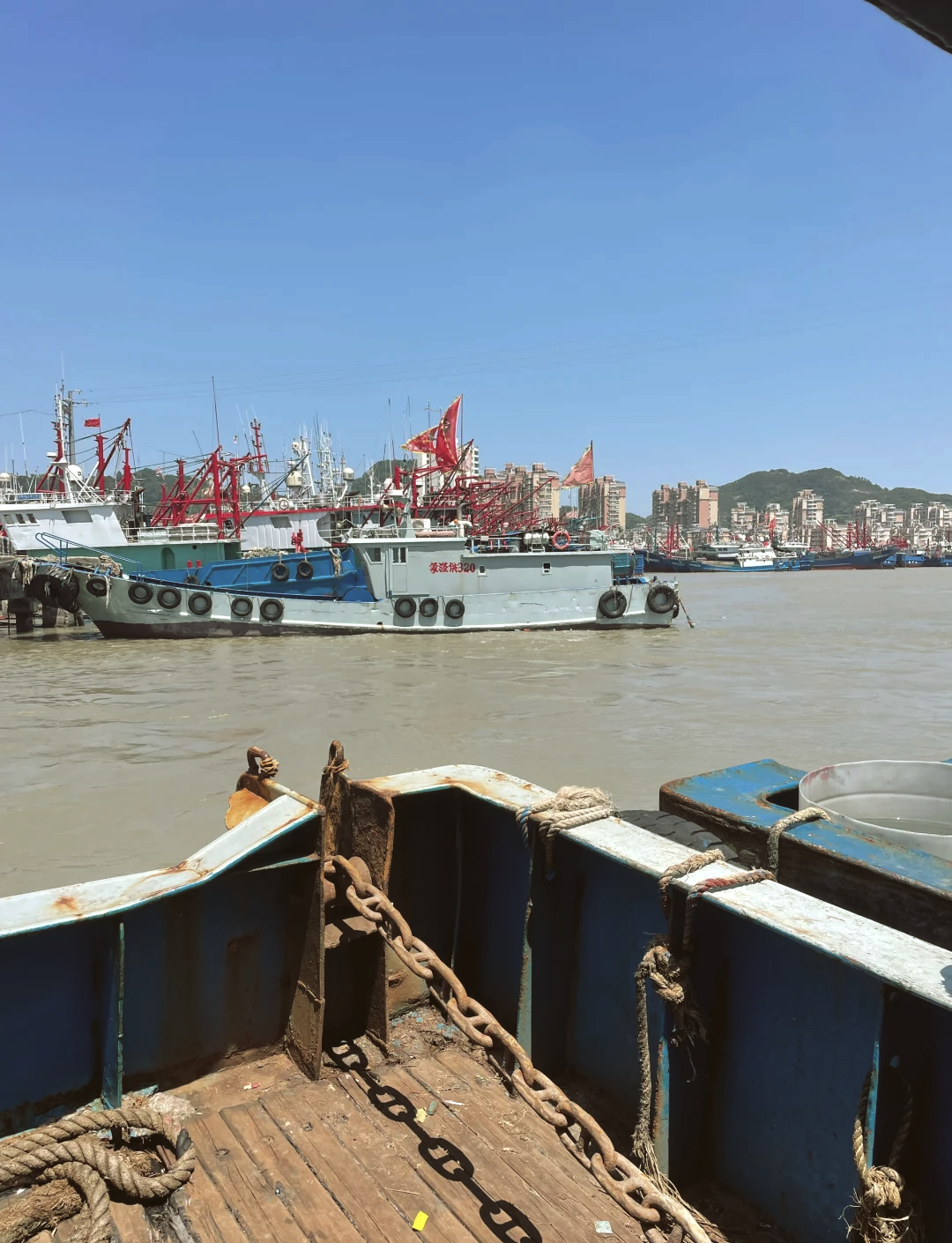 宁德海钓(宁德海钓协会会长简历)