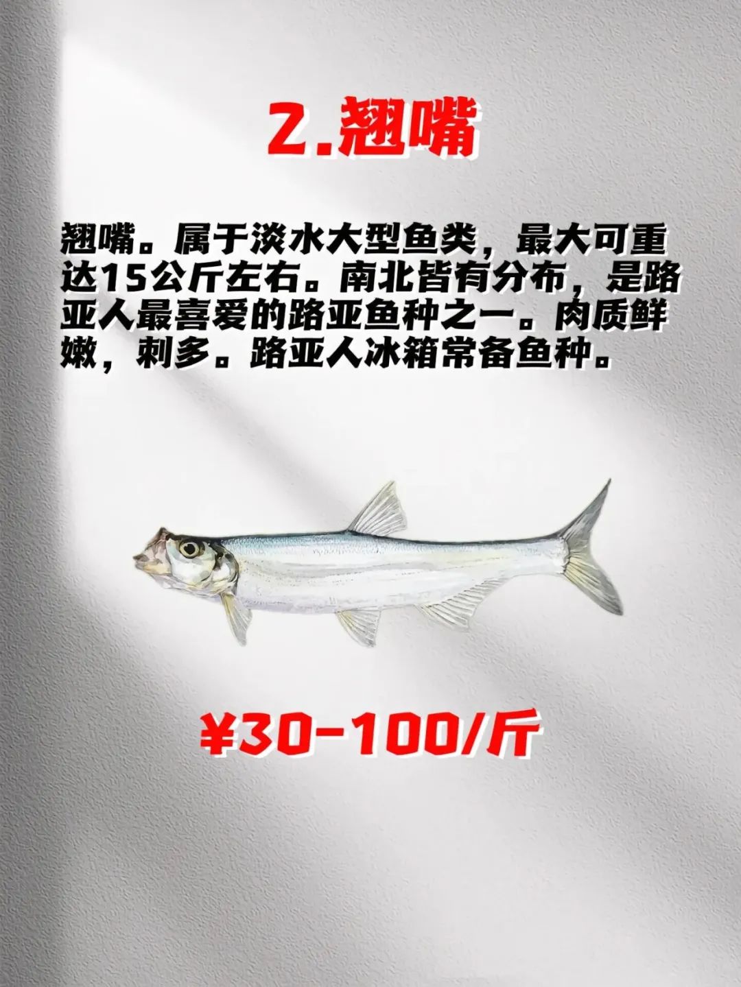 海钓利润(海钓公司如何盈利)