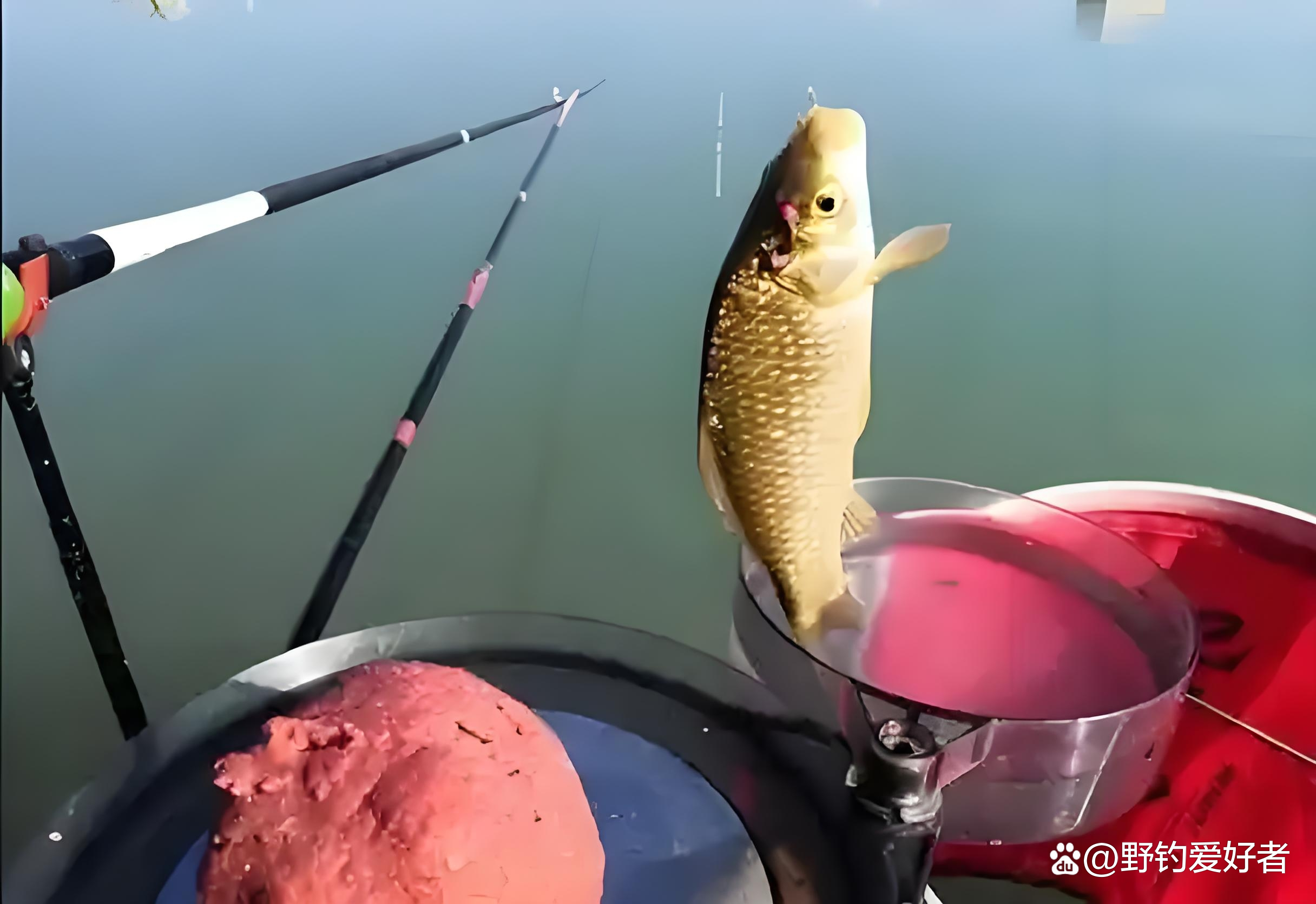 谷雨季节后钓鲫鱼技巧(谷雨后钓鱼要钓多深)
