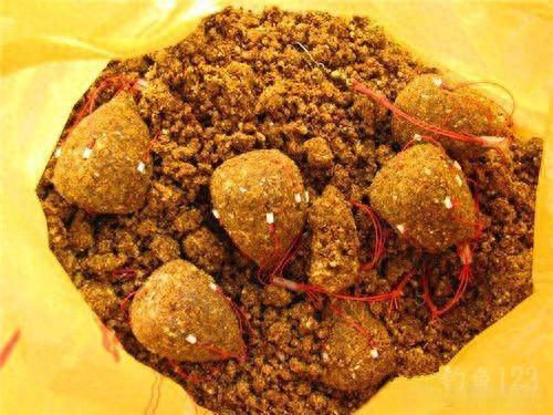 夏季清淡饵料(夏季好用的饵料)