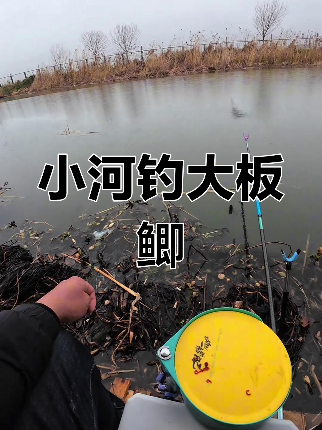 雨天早上钓鱼技巧(早上下雨能好钓草鱼吗)