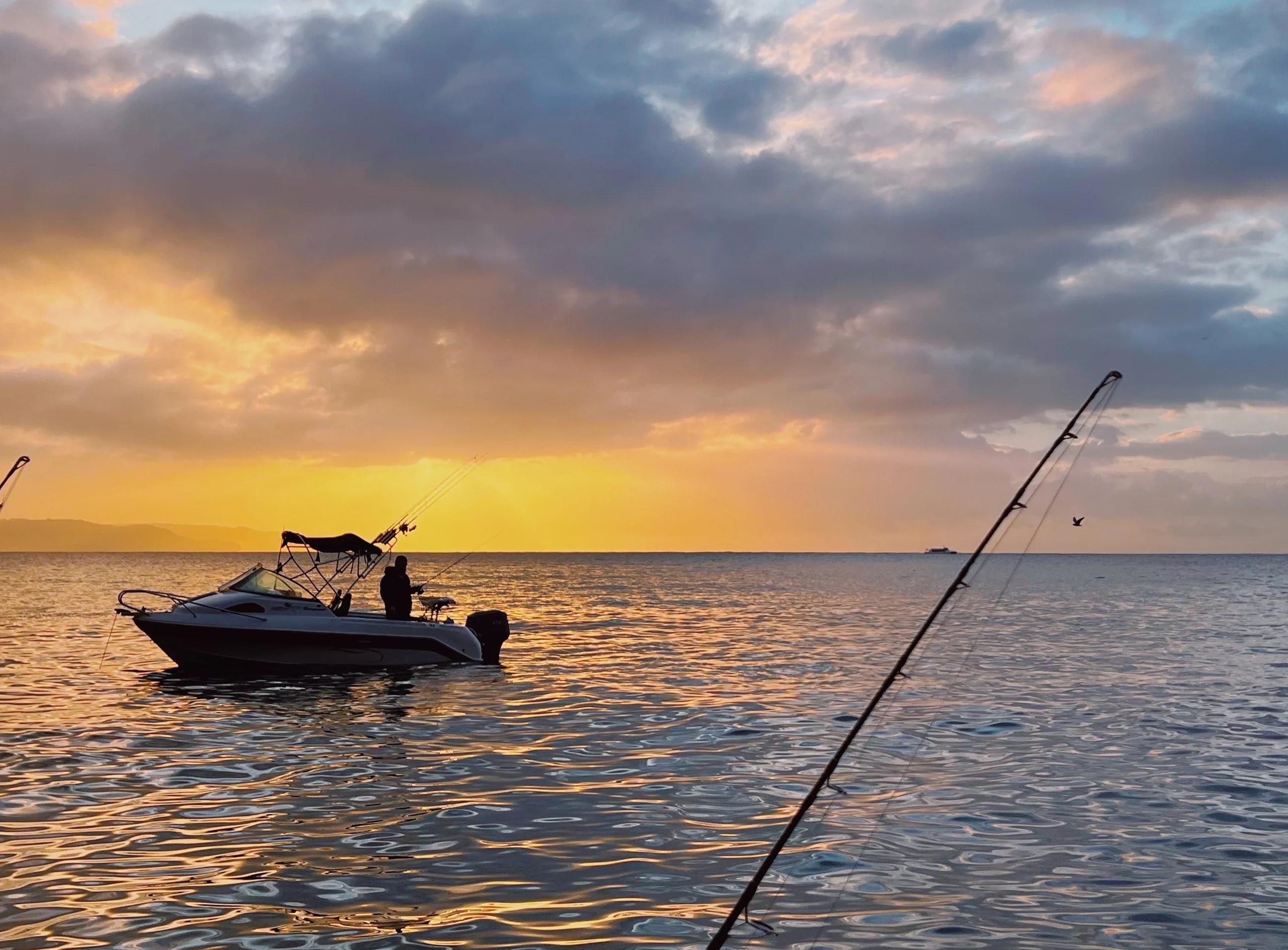远海钓鱼直播(远海钓鱼两年到底赚多少)