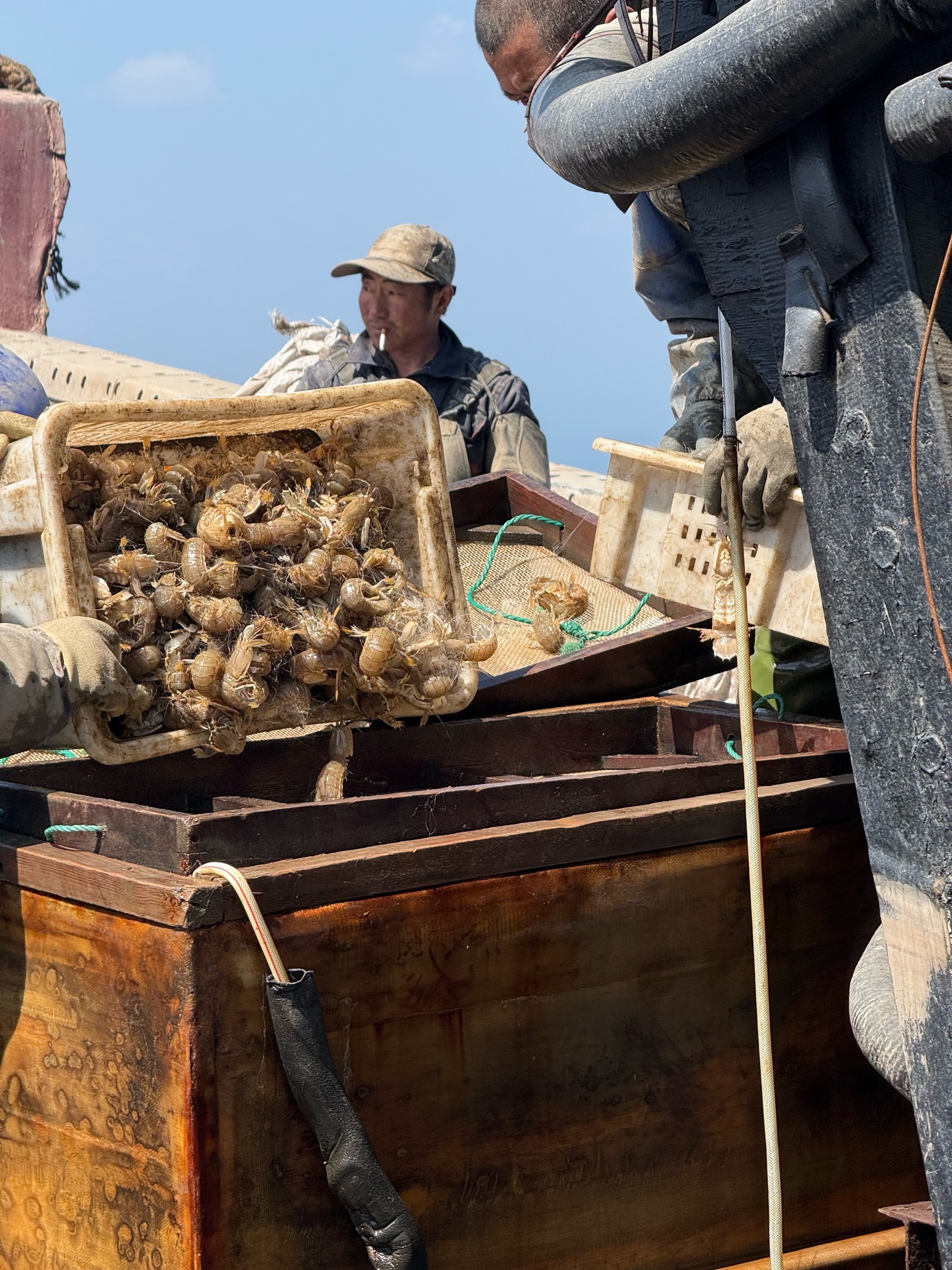 秦皇岛春季海钓(秦皇岛钓海鱼的地方)