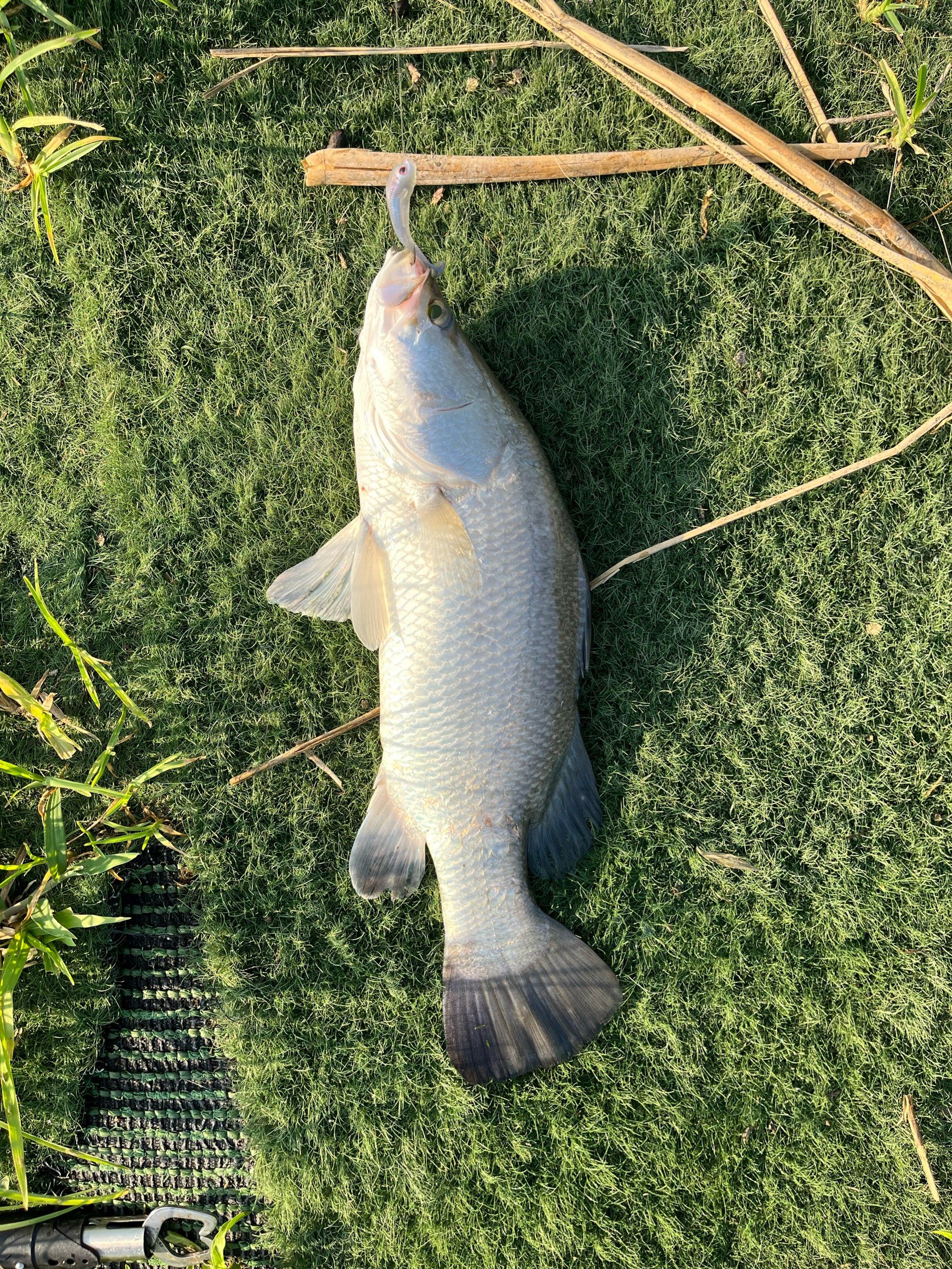 金华路亚塘(金华市公共资源交易官网)