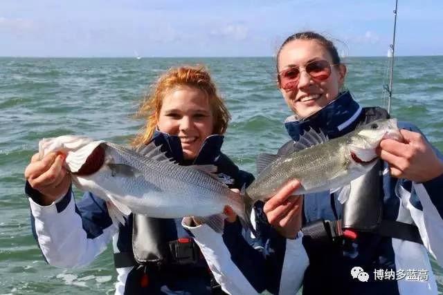 世界海钓人数(中国海钓人)