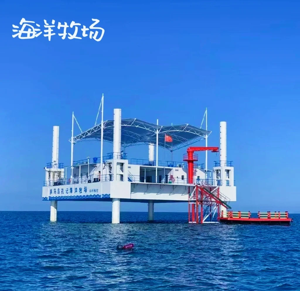 烟台最佳海钓点(烟台海边钓点)