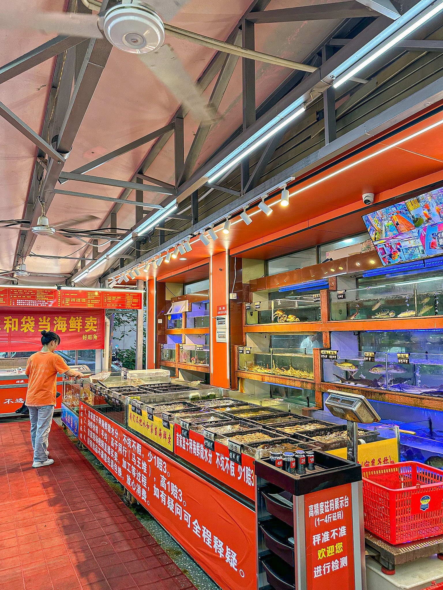 宁波渔具批发市场在哪里(宁波渔具品牌大全)