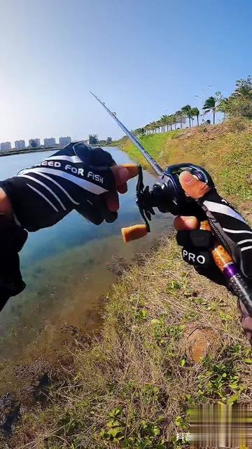 海口玩路亚(海口路亚攻略)