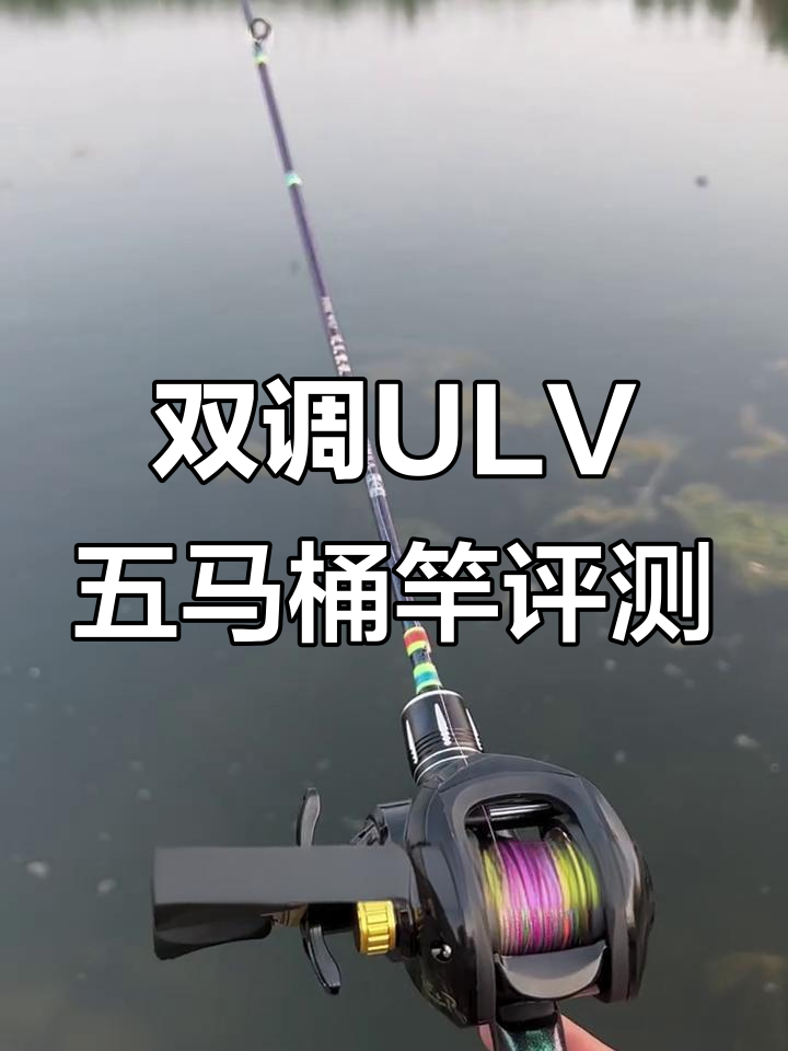 路亚测评(路亚知乎)