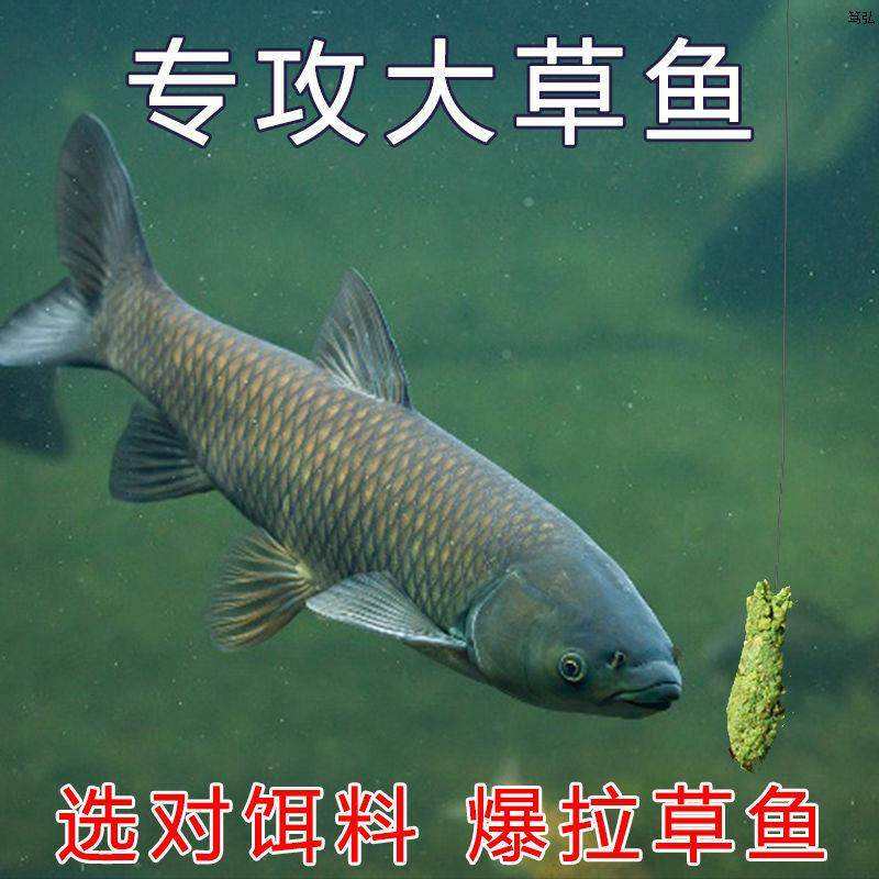 水库草鱼的饵料(水库草鱼的饵料怎么配)