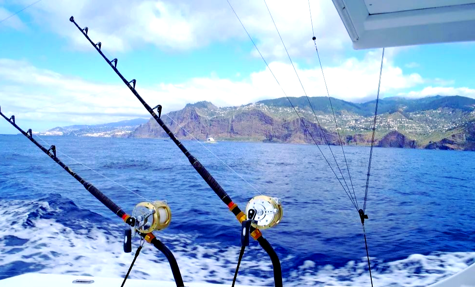 中国免费海钓的地方吗(中国哪里可以海钓)