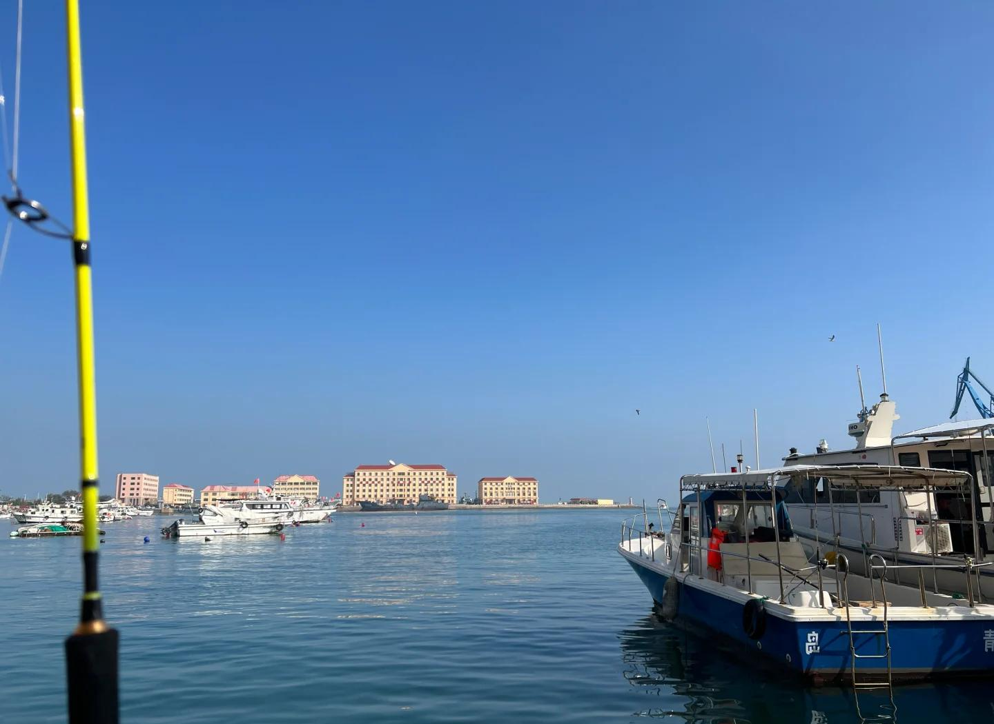 11月海钓去哪里(11月份海杆怎么钓鱼)