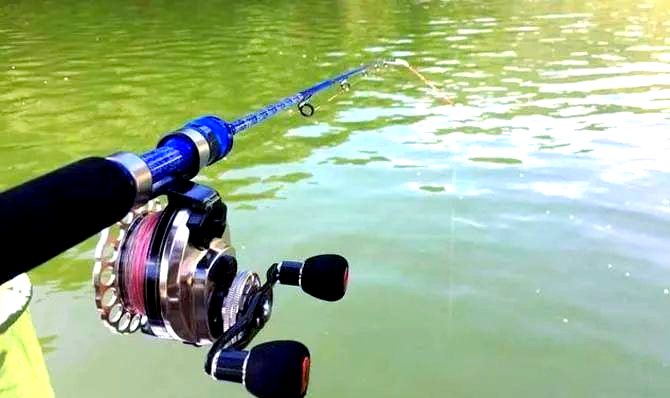 江河网箱筏钓鲤鱼技巧(网箱钓鱼视频)